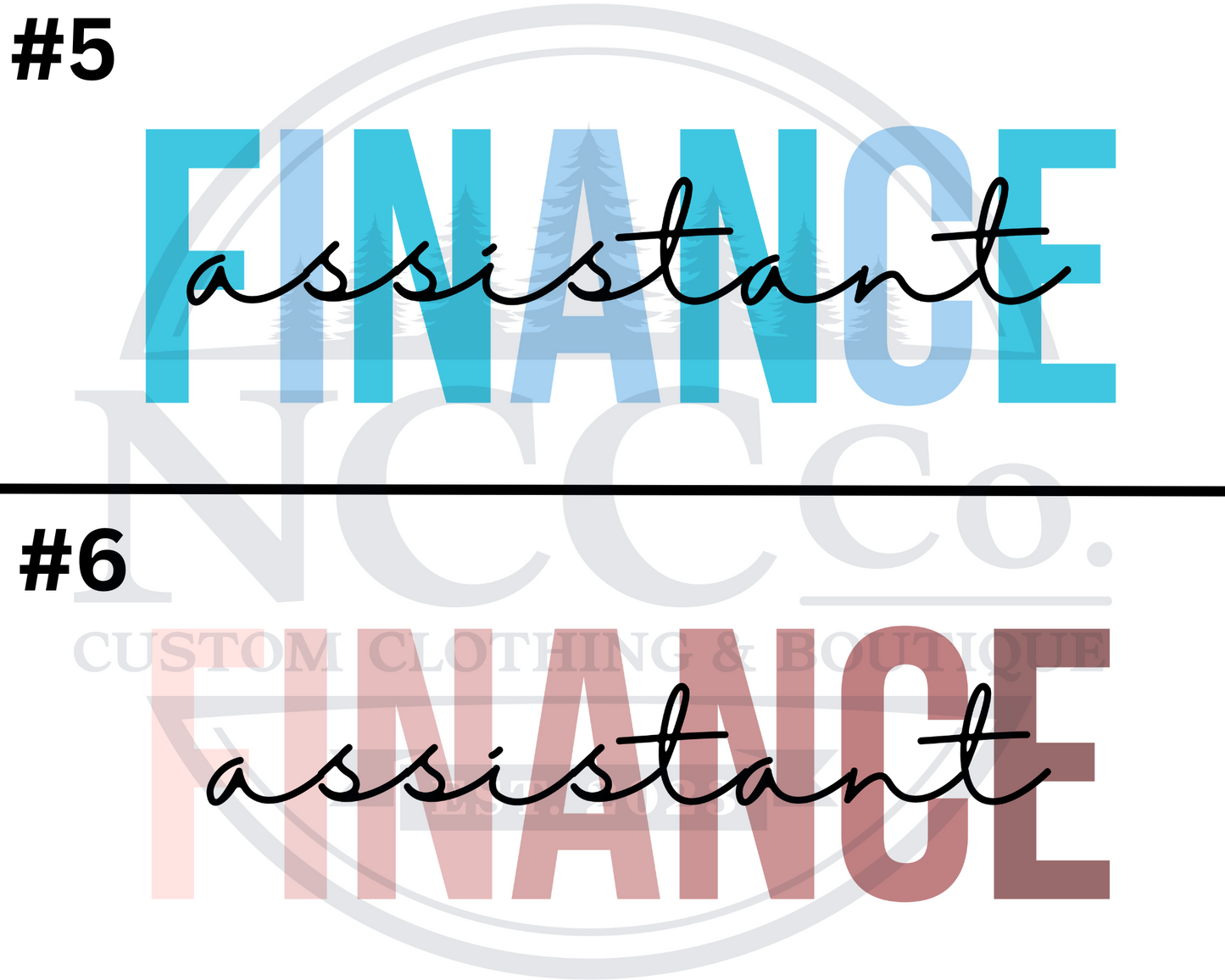 Finance Assistant - Centre Chest Designs