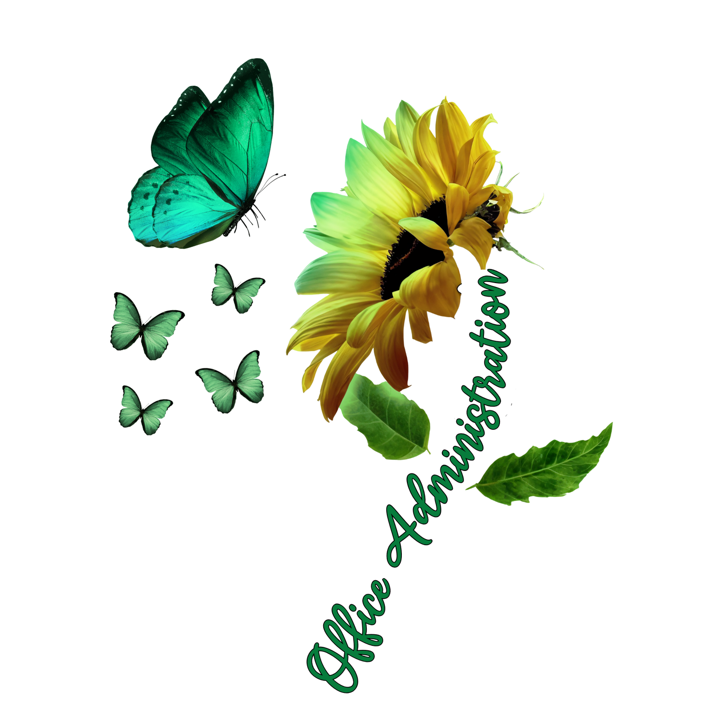 Office Administration - Centre Chest Sunflower