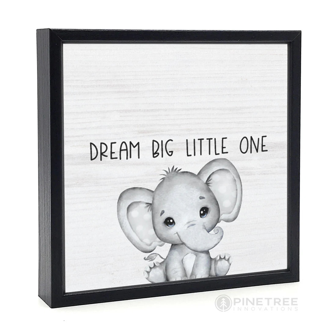 Dream Big Little One