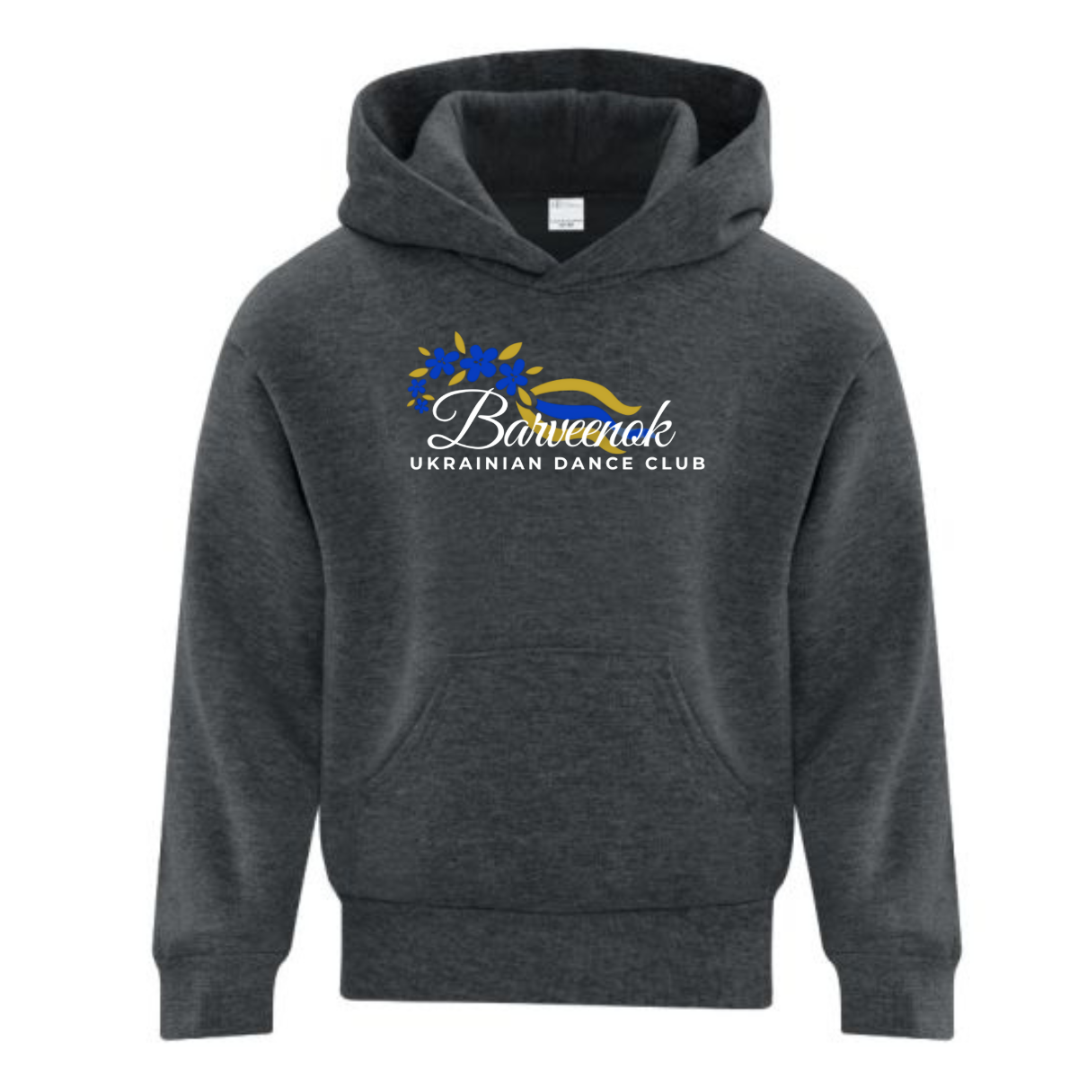 Youth Hoodie