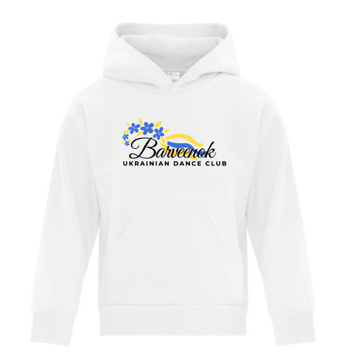 Youth Hoodie