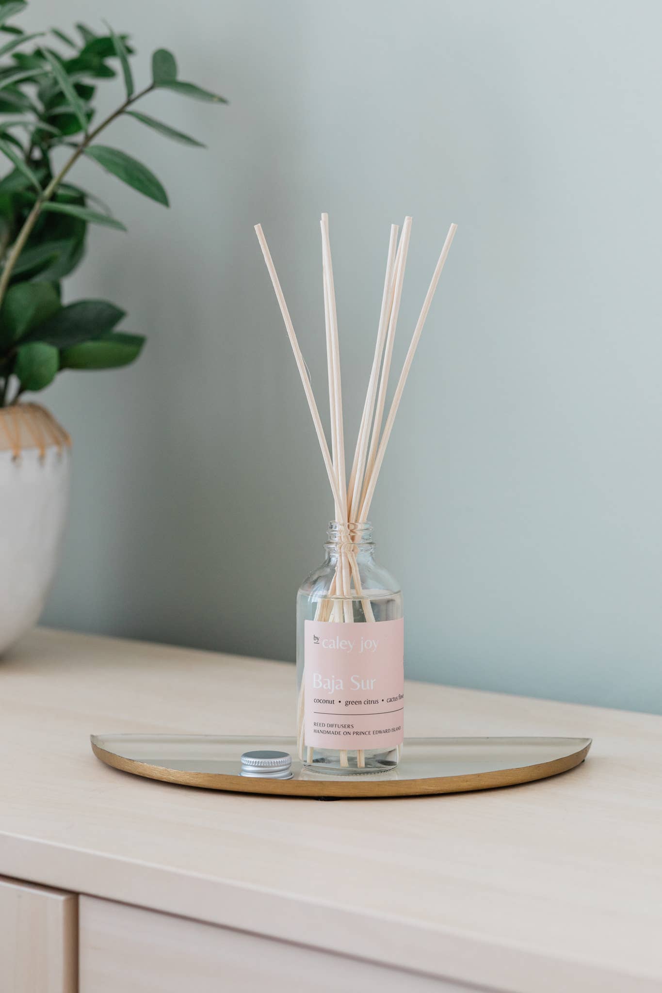 Reed Diffuser - Baja Sur