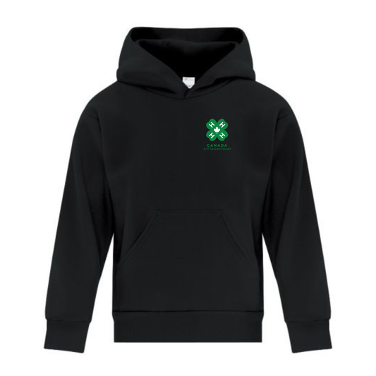 Youth Hoodie
