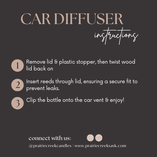BEACH BUM | NON TOXIC VENT CLIP CAR DIFFUSER