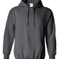 Gildan Heavy Blend Hooded Sweatshirt