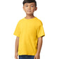 Gildan Youth Softstyle Midweight T-Shirt