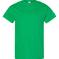 Gildan Unisex Adult Heavy Cotton™ T-Shirt