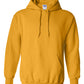 Gildan Heavy Blend Hooded Sweatshirt