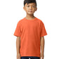 Gildan Youth Softstyle Midweight T-Shirt