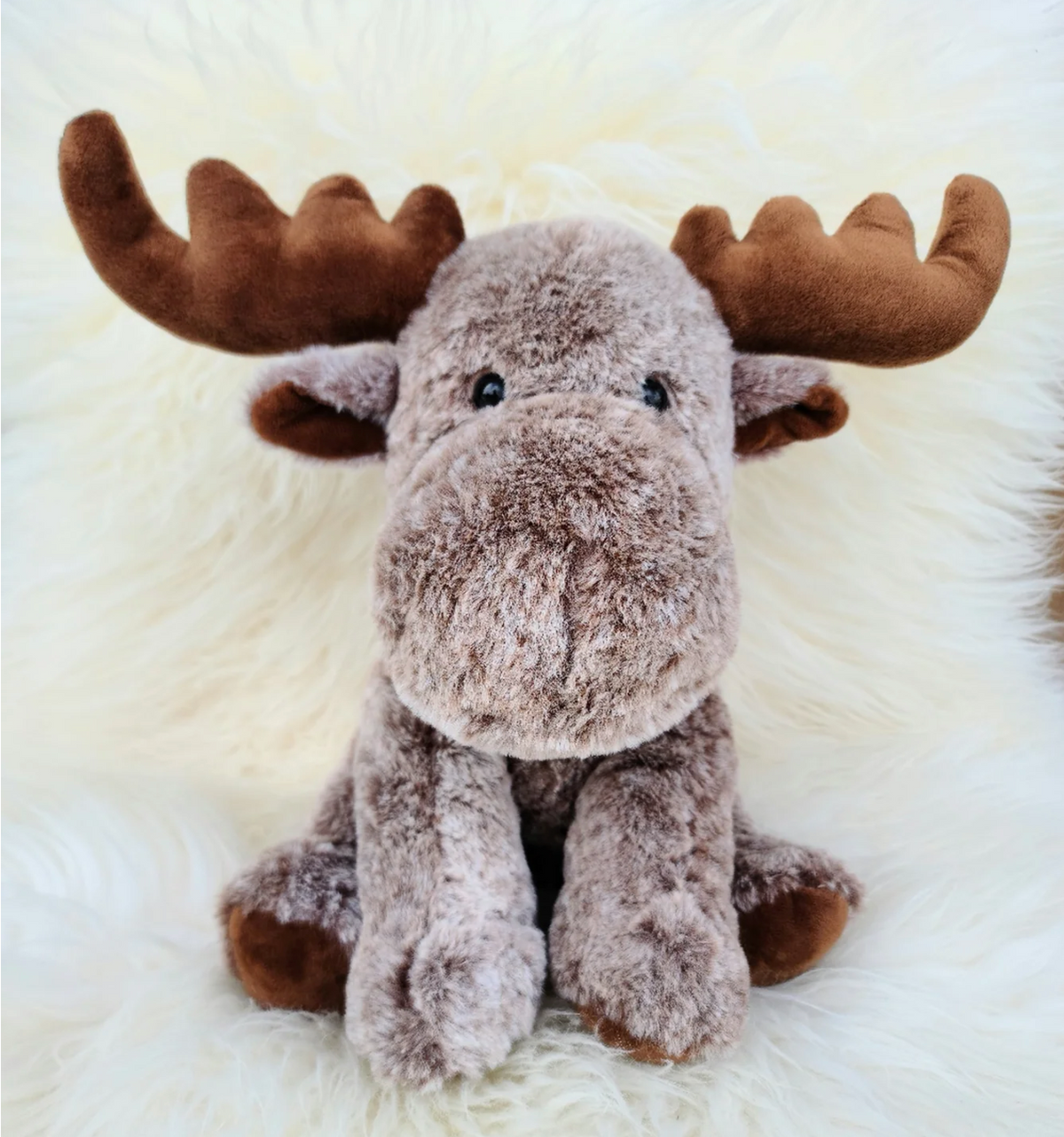 Plush Moose - Brown Antlers